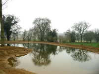 Pond Construction