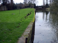 Timber Revetments