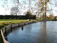 Timber Revetments